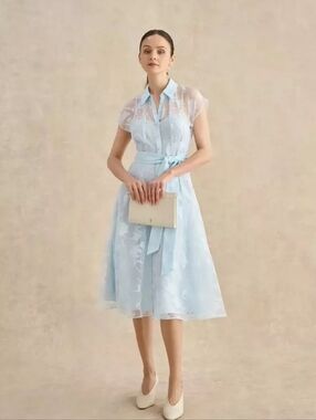 HOBBS LONDON Tess Burnout Floral Shirt Dress
